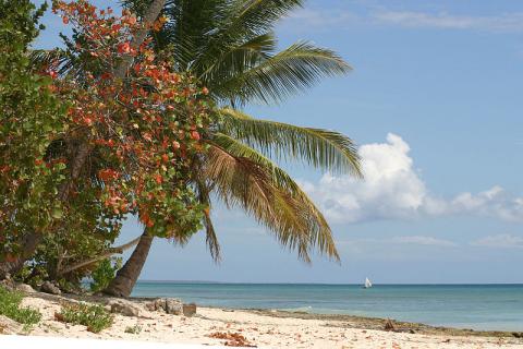 playa-republica-dominicana.jpg